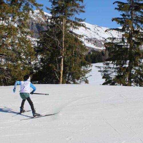 Cours de ski de fond