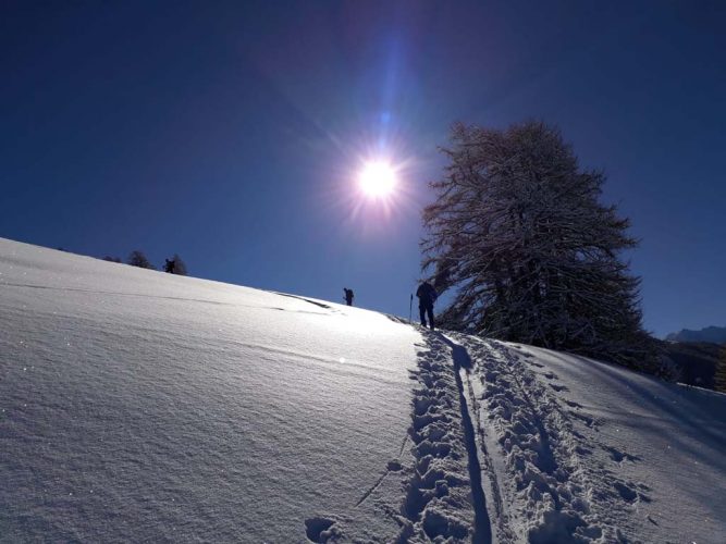 maison-de-la-montagne-naves-savoie-ski-de-randonnée-013