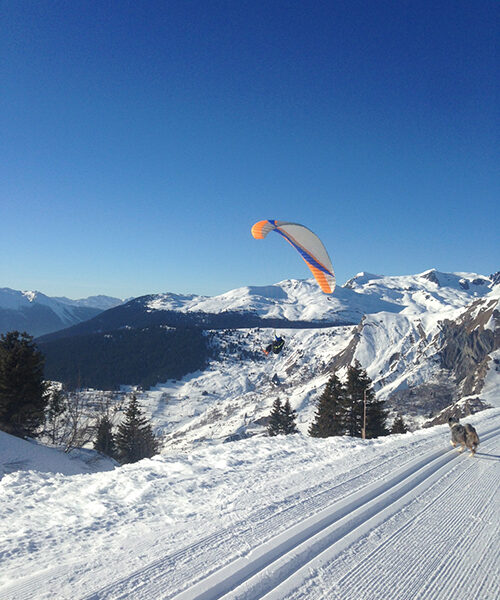 maison-de-la-montagne-naves-savoie-activités-parapente-002