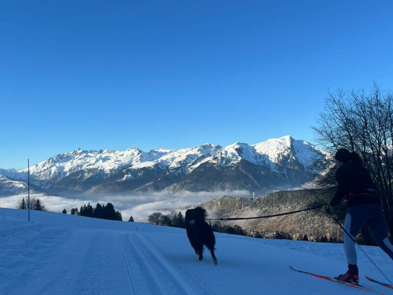 IMG_20260107_140906-cani ski